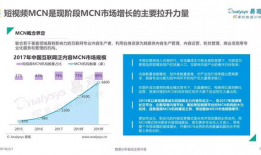 短视频发展战略,战略布局与未来发展趋势深度解析