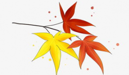 漫画枫叶,漫话秋日里的诗意画卷